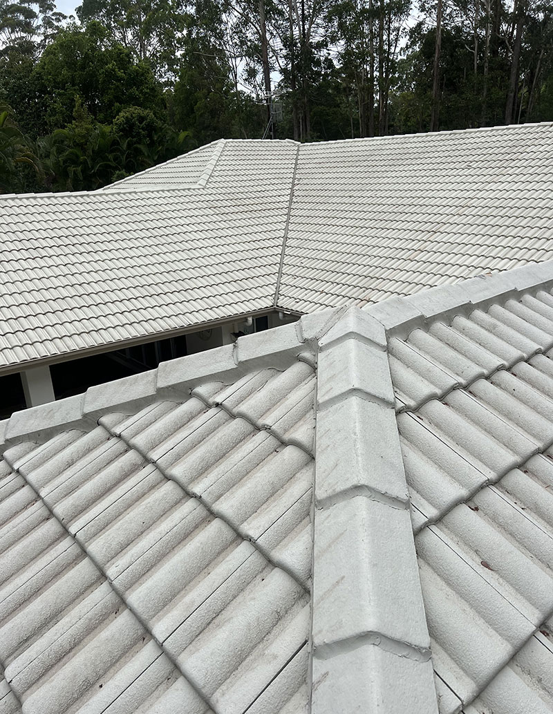 Sunshine Coast Roof Cleaners