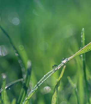 Pressure-Cleaning-Diddillibah