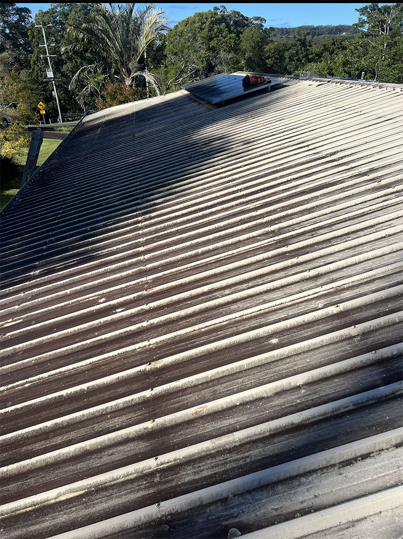 Best Roof Cleaning Sunshine Coast Before