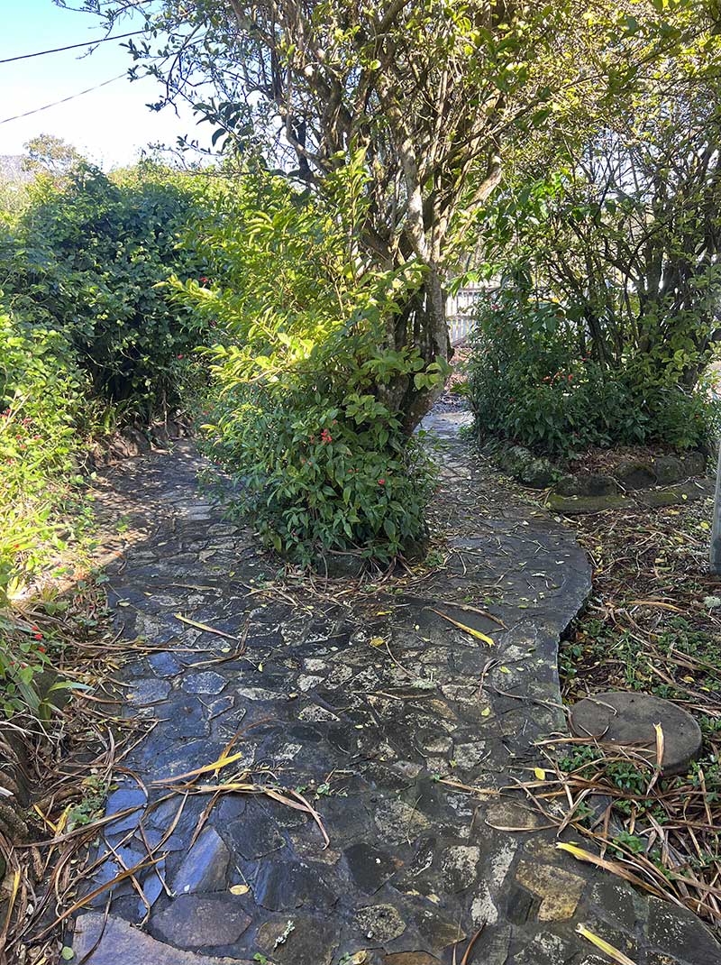 Before Stone Driveway Pressure Cleaning