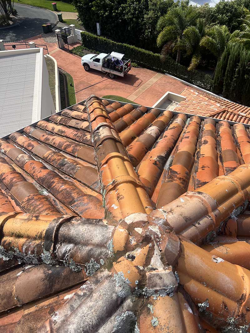 roof-cleaners-sunshine-coast-best